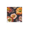 "Papaver"