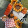 Sommerpakke #2